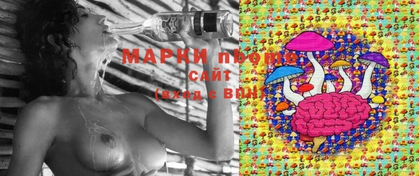 бошки Балахна