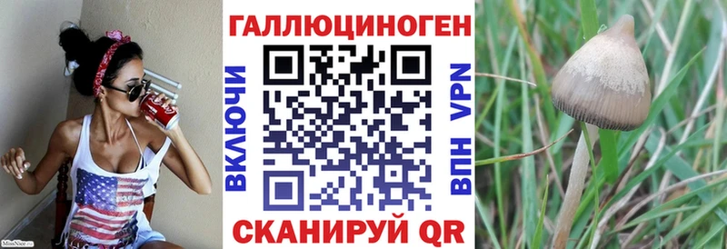 Галлюциногенные грибы GOLDEN TEACHER  продажа наркотиков  Беслан 